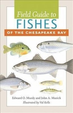 Field Guide to Fishes of the Chesapeake Bay - Murdy, Edward O.; Musick, John A.