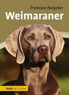 Weimaraner - Schmitt, Annette