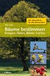 Bäume bestimmen - Bild 1