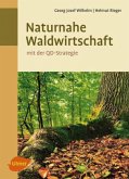 Naturnahe Waldwirtschaft - mit der QD-Strategie Naturnahe Waldwirtschaft - mit der QD-Strategie