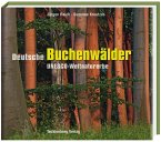 Deutscher Buchenwald