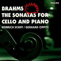 Die Sonaten für Violoncello und Klavier