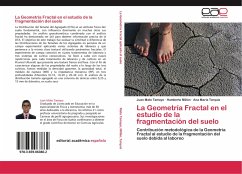 La Geometría Fractal en el estudio de la fragmentación del suelo - Mato Tamayo, Juan;Millán, Humberto;Tarquis, Ana María