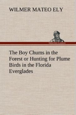 The Boy Chums in the Forest or Hunting for Plume Birds in the Florida Everglades - Ely, Wilmer Mateo