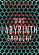 Das Labyrinth erwacht / Labyrinth Bd.1 - Bild 1
