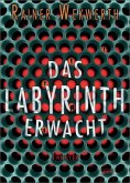 Das Labyrinth erwacht / Labyrinth Bd.1