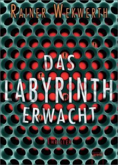 Das Labyrinth erwacht / Labyrinth Bd.1 - Wekwerth, Rainer