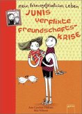 Junis verflixte Freundschaftskrise / Mein lebensgefährliches Leben Bd.3