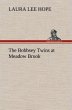 The Bobbsey Twins at Meadow Brook - Bild 1