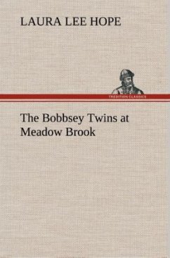 The Bobbsey Twins at Meadow Brook - Hope, Laura Lee