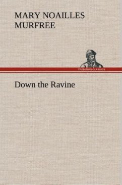 Down the Ravine - Murfree, Mary Noailles