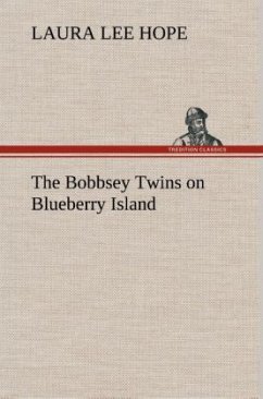 The Bobbsey Twins on Blueberry Island - Hope, Laura Lee