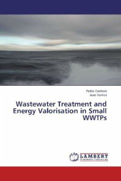 Wastewater Treatment and Energy Valorisation in Small WWTPs - Cardoso, Pedro;Gomes, Joao