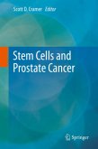 Stem Cells and Prostate Cancer