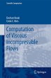 Computation of Viscous Incompressible... - Bild 1