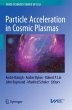 Particle Acceleration in Cosmic Plasmas - Bild 1