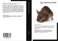 Infection au Cryptococcus chez la souris exprimant le génome du VIH-1