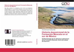 Historia deposicional de la Formación Mexcala en el sur de México - Ocampo-Díaz, Yam Zul Ernesto