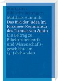 Das Bild der Juden im Johannes-Kommentar des Thomas von Aquin