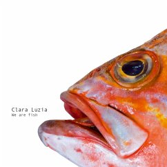 We Are Fish - Clara Luzia