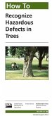 How to Recognize Hazardous Defects in Trees