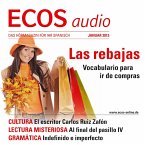 Spanisch lernen Audio - Wortschatz und Wendungen zum Einkaufen (MP3-Download)