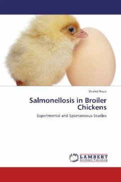 Salmonellosis in Broiler Chickens