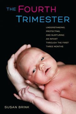 The Fourth Trimester - Brink, Susan