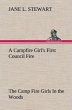 A Campfire Girl's First Council Fire... - Bild 1
