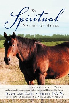 The Spiritual Nature of Horse Explained by Horse