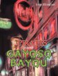 The Pirates of the Gayoso Bayou - Bild 1