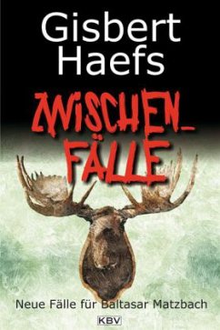 Zwischenfälle / Baltasar Matzbach Bd.10 - Haefs, Gisbert