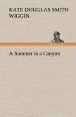 A Summer in a Canyon