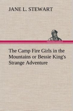 The Camp Fire Girls in the Mountains or Bessie King's Strange Adventure - Stewart, Jane L.
