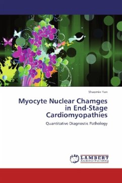 Myocyte Nuclear Chamges in End-Stage Cardiomyopathies - Yan, Shaomin
