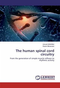 The human spinal cord circuitry
