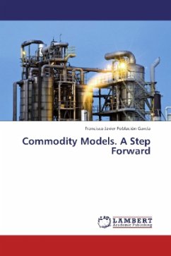 Commodity Models. A Step Forward