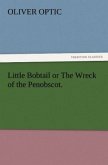 Little Bobtail or The Wreck of the Penobscot.