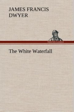 The White Waterfall - Dwyer, James Francis