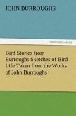 Bird Stories from Burroughs Sketches of Bird Life Taken from the Works of John Burroughs