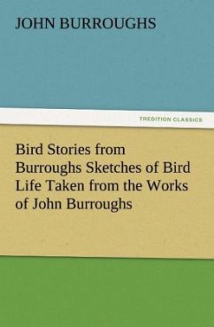 Bird Stories from Burroughs Sketches of Bird Life Taken from the Works of John Burroughs - Burroughs, John