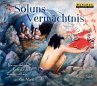 Soluns Vermächtnis - Bild 1