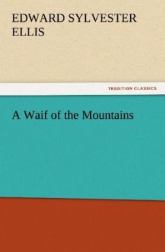 A Waif of the Mountains - Ellis, Edward Sylvester