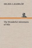 The Wonderful Adventures of Nils