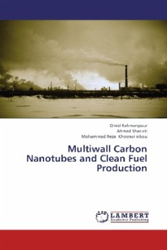 Multiwall Carbon Nanotubes and Clean Fuel Production