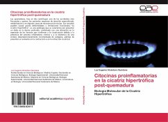 Citocinas proinflamatorias en la cicatriz hipertrófica post-quemadura - Alcántara Quintana, Luz Eugenia