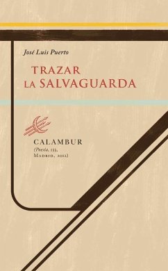 Trazar la salvaguarda - Puerto, José Luis