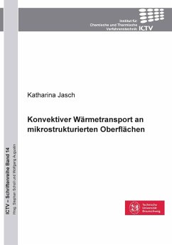 Konvektiver Wärmetransport an mikrostrukturierten Oberflächen - Jasch, Katharina