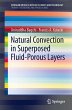 Natural Convection in Superposed... - Bild 1