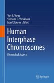 Human Interphase Chromosomes